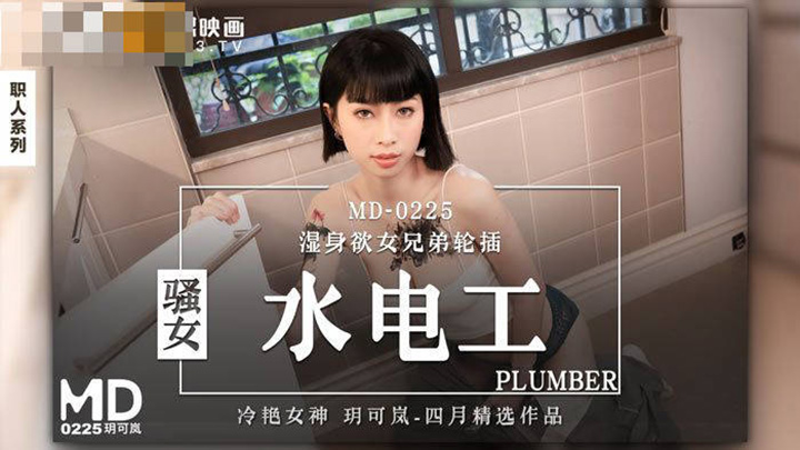 骚女水电工